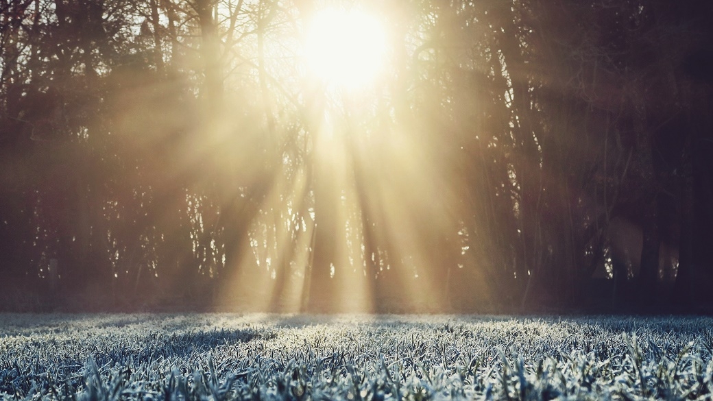 Sonnenschein auf zugefrorener Wiese im Wald